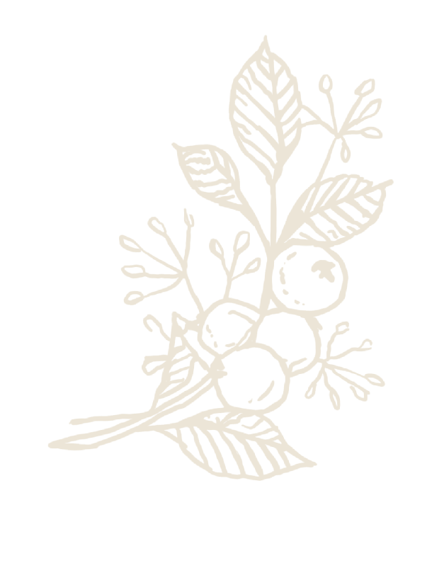 Design: Beerenzweig